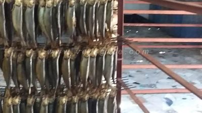 صحة الشرقية: غلق وتشميع منشأتين غذائيتين وإعدام أسماك مدخنة فاسدة l صور