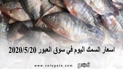 اسعار السمك اليوم في سوق العبور 2020/5/20