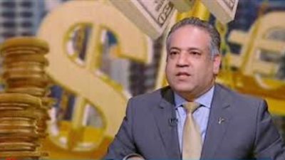 د. يسري الشرقاوي: وزيرة الصناعة وضعت نموذجا لتنمية المشاريع الصغيرة والمتوسطة وريادة الأعمال