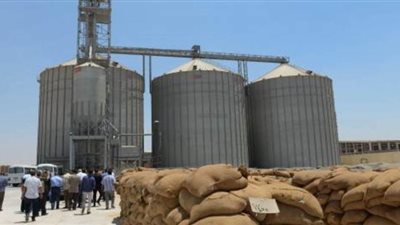 وصول 120 ألف من القمح بصوامع وشون قنا