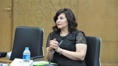 د. أماني مصطفى: الاستراتيجية الوطنية للمشروعات الصغيرة تساهم فى حل مشاكل القطاع 