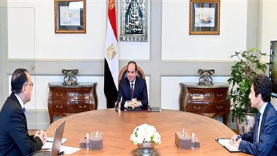 السيسي يتابع آخر تطورات المشروعات القومية وجهود مكافحة كورونا | فيديو
