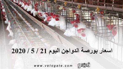 اسعار بورصة الدواجن اليوم 2020/5/21