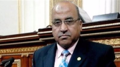 برلمانى: خصم 1% من العاملين بالدولة لمواجهة كورونا يستحق الدعم