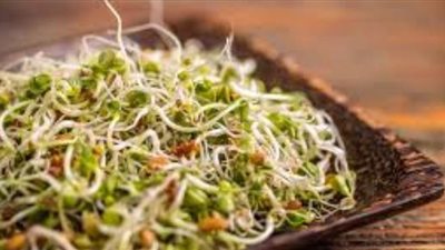 طريقة الشيف ريمو في عمل الحلبة المنبتة