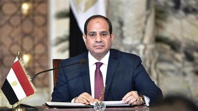 السيسي ينيب الشباب في افتتاح مشروع 