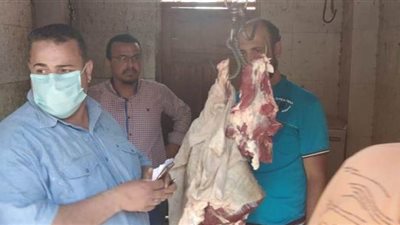 تحرير 20 مخالفة وضبط ألعاب نارية ولحوم غير صالحة للاستهلاك الآدمي بالمنيا