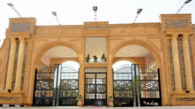 جامعة المنصورة