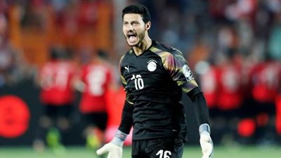 الهاني سليمان: محمد الشناوي أفضل حارس في مصر