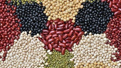 شعبة البقوليات: استقرار الأسعار بالفترة الحالية