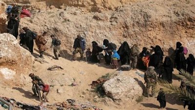 هيئة قضائية أوروبية تدعو إلى ملاحقة مقاتلي 