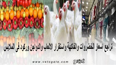 تراجع اسعار الخضروات والفاكهة واستقرار الألعاب والدواجن وركود في الملابس