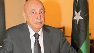 عقيلة صالح: ليبيا تتعرض لمؤامرة تتجاوز الحدود ويجب حل المجلس الرئاسي