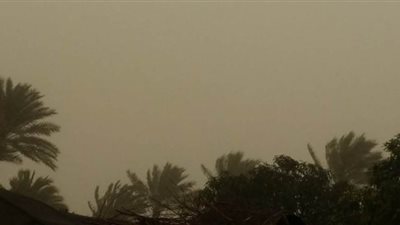 عواصف ترابية تضرب عددا من المناطق في الوادي الجديد 
