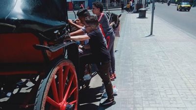 أطفال الإسكندرية يحتفلون بعيد الفطر بركوب الخيل والتنزه | صور