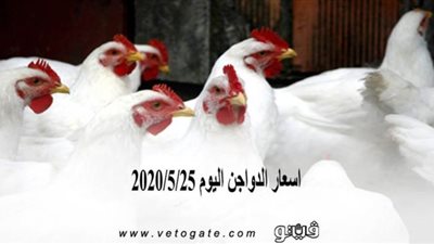 اسعار الدواجن اليوم 2020/5/25