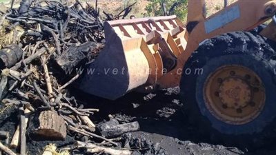 إزالة 995 حالة تعدٍ على الأراضى الزراعية وأملاك الدولة بالغربية