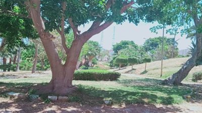 حدائق الإسكندرية مغلقة لليوم الثالث لمنع التجمعات | صور