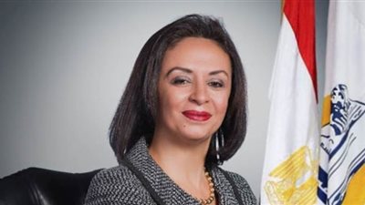 مايا مرسي: حملات 