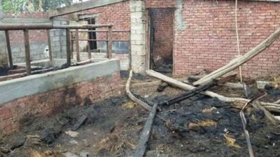 حريق هائل يلتهم مزرعة مواشي في دمياط