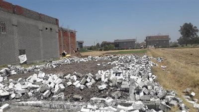 إزالة 4 حالات تعدى على أراضى زراعية في البحيرة | صور