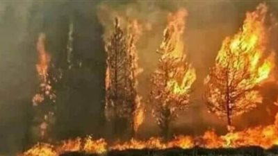 إخماد حريق هائل نشب بمخلفات وبعض الأشجار أسفل دائري البساتين