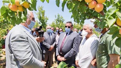 وزير الزراعة ومحافظ البحيرة يتفقدان قرى الخريجين بالنوبارية | صور