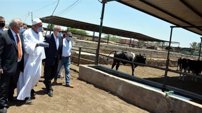 محافظ القليوبية: أطلقنا أكبر حملة لحماية الثروة الحيوانية بالوحدات البيطرية