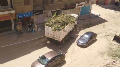 حقيقة مذبحة الأشجار بحي الطالبية | صور