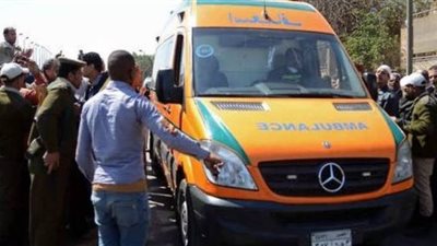 مصرع عجوز طعناً بإحدى قرى إيتاي البارود بالبحيرة