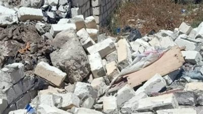 حملات موسعة لإزالة التعديات على الأراضي في الإسكندرية| صور