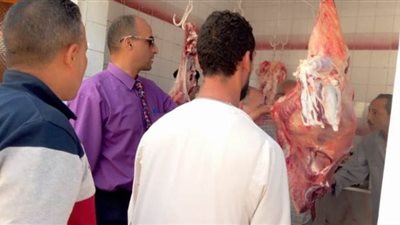 بيطري المنيا يحرر 7 محاضر ذبح خارج المجازر بمطاى وسمالوط