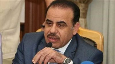 نائب رئيس حزب الوفد: يوجد تربص خارجي لإدارة مصر لأزمة كورونا