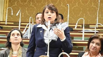 برلمانية: قانونا مجلس الشيوخ والنواب يحتاجان لتعديلات بسيطة بخلاف تقسيم الدوائر