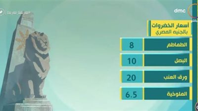 الطماطم تصل إلى 8 جنيهات فى الأسواق | فيديو