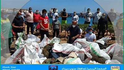 انطلاق فعاليات مبادرة The clean blue بمدينة شرم الشيخ | صور