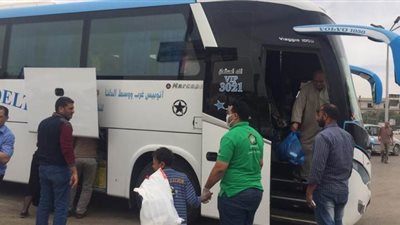 التضامن: فريق 