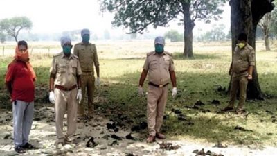 خفافيش نافقة تتساقط من سماء الهند | فيديو