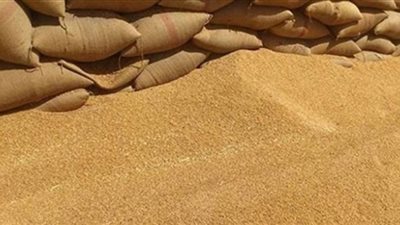 التموين: استقبال 3 ملايين طن قمح في 450 مركزا ونقله إلى الصوامع لتخزينه