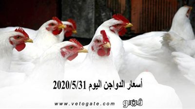 أسعار الدواجن اليوم 2020/5/31