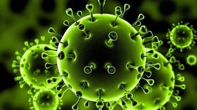 6 إجراءات اتخذتها الكهرباء لحماية العاملين من فيروس كورونا