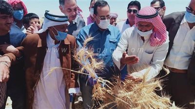 محافظ شمال سيناء يفتتح موسم الحصاد بالحسنة في وسط سيناء | صور
