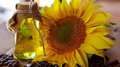 استخدام زيت عباد الشمس يحمي من الإصابة بالأمراض