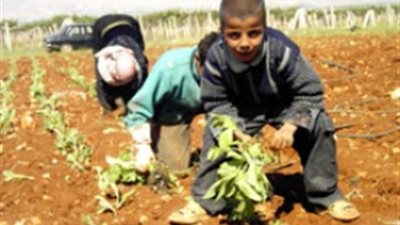 منظمة دولية: 8 ملايين طفل مصري يعملون بالزراعة