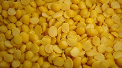 13 جنيهًا للعدس الأصفر بالمنيا.. اليوم