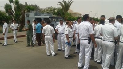 مصادرة 141عبوة منشطات جنسية مهربة من الجمارك بالغربية