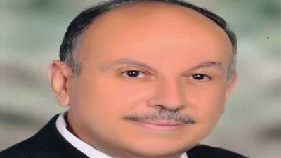 مدير «الأبحاث العلمية» بالإسكندرية: الأمطار روت المدينة وغسلت الزرع