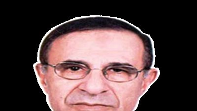 الدكتور محمود مهنا عضو هيئة كبار العلماء في حوار لـ