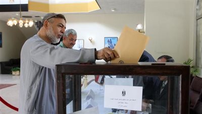 «تمرد» تشكل غرفة عمليات لمتابعة الاستفتاء على الدستور