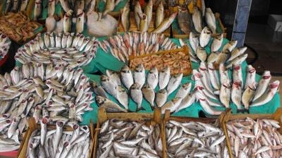 استقرار جماعى لأسعار السمك بسوق العبور
